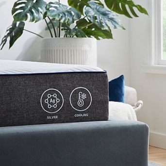 Dr. Oz Good Life 10-Inch Medium-Firm Mattress