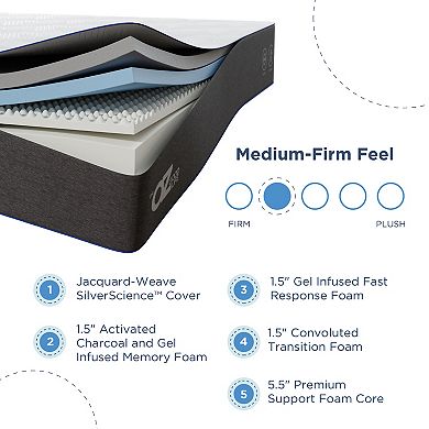 Dr. Oz Good Life 10-Inch Medium-Firm Mattress