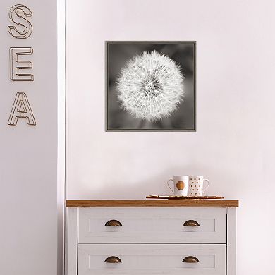 Amanti Art Dandelion Framed Canvas Wall Art