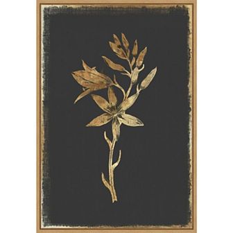 Amanti Art Wild Hyacinth Framed Canvas Wall Art