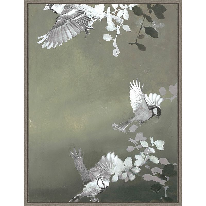 Amanti Art Bird Framed Canvas Wall Art, Grey, 18X24