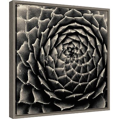 Amanti Art Succulent Framed Canvas Wall Art