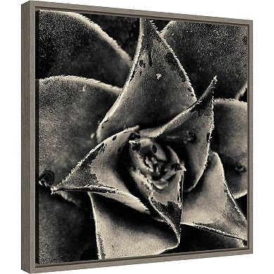 Amanti Art Seattle Succulents Framed Canvas Wall Art