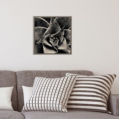 Amanti Art Seattle Succulents Framed Canvas Wall Art