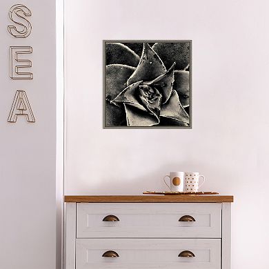 Amanti Art Seattle Succulents Framed Canvas Wall Art