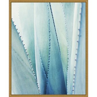 Amanti Art Pale Blue Agave Succulent No. 1 Framed Canvas Wall Art