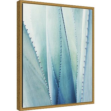 Amanti Art Pale Blue Agave Succulent No. 1 Framed Canvas Wall Art