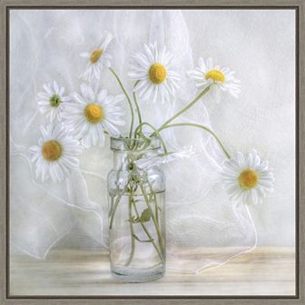Amanti Art Daisies Framed Canvas Wall Art