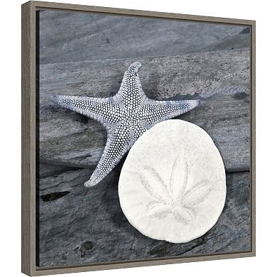 Amanti Art Nautical Shell Still Life Framed Canvas Wall Art