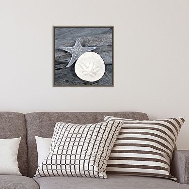 Amanti Art Nautical Shell Still Life Framed Canvas Wall Art