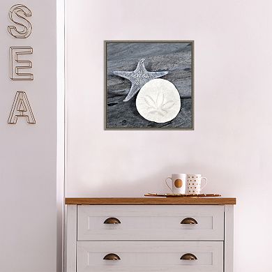 Amanti Art Nautical Shell Still Life Framed Canvas Wall Art