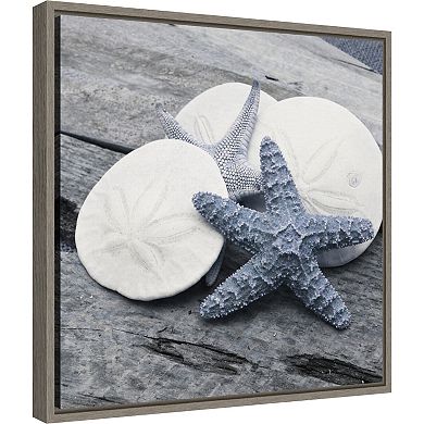 Amanti Art Nautical Shell Still Life I Framed Canvas Wall Art