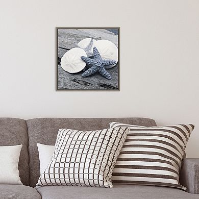 Amanti Art Nautical Shell Still Life I Framed Canvas Wall Art
