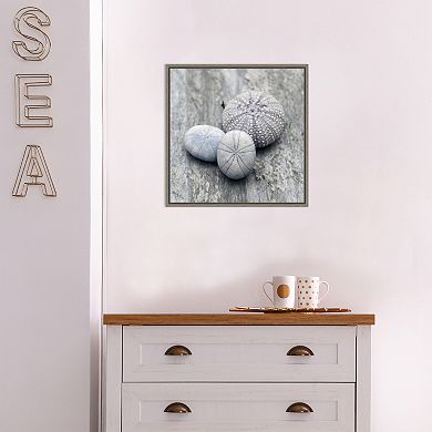 Amanti Art Nautical Shell Still Life II Framed Canvas Wall Art