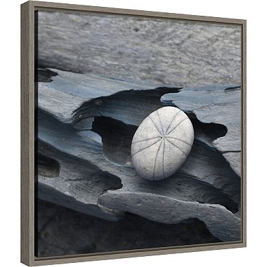 Amanti Art Nautical Shell Still Life III Framed Canvas Wall Art