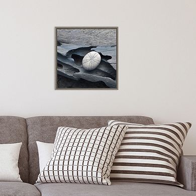 Amanti Art Nautical Shell Still Life III Framed Canvas Wall Art