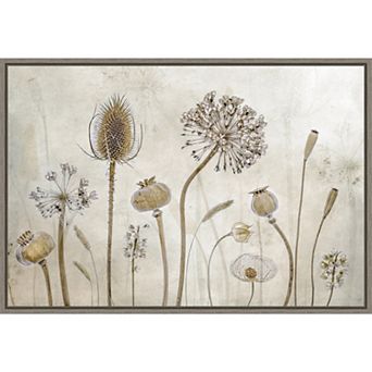 Amanti Art Growing Old Floral Seed Pods Framed Canvas Wall Art