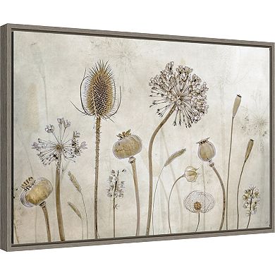 Amanti Art Growing Old Floral Seed Pods Framed Canvas Wall Art