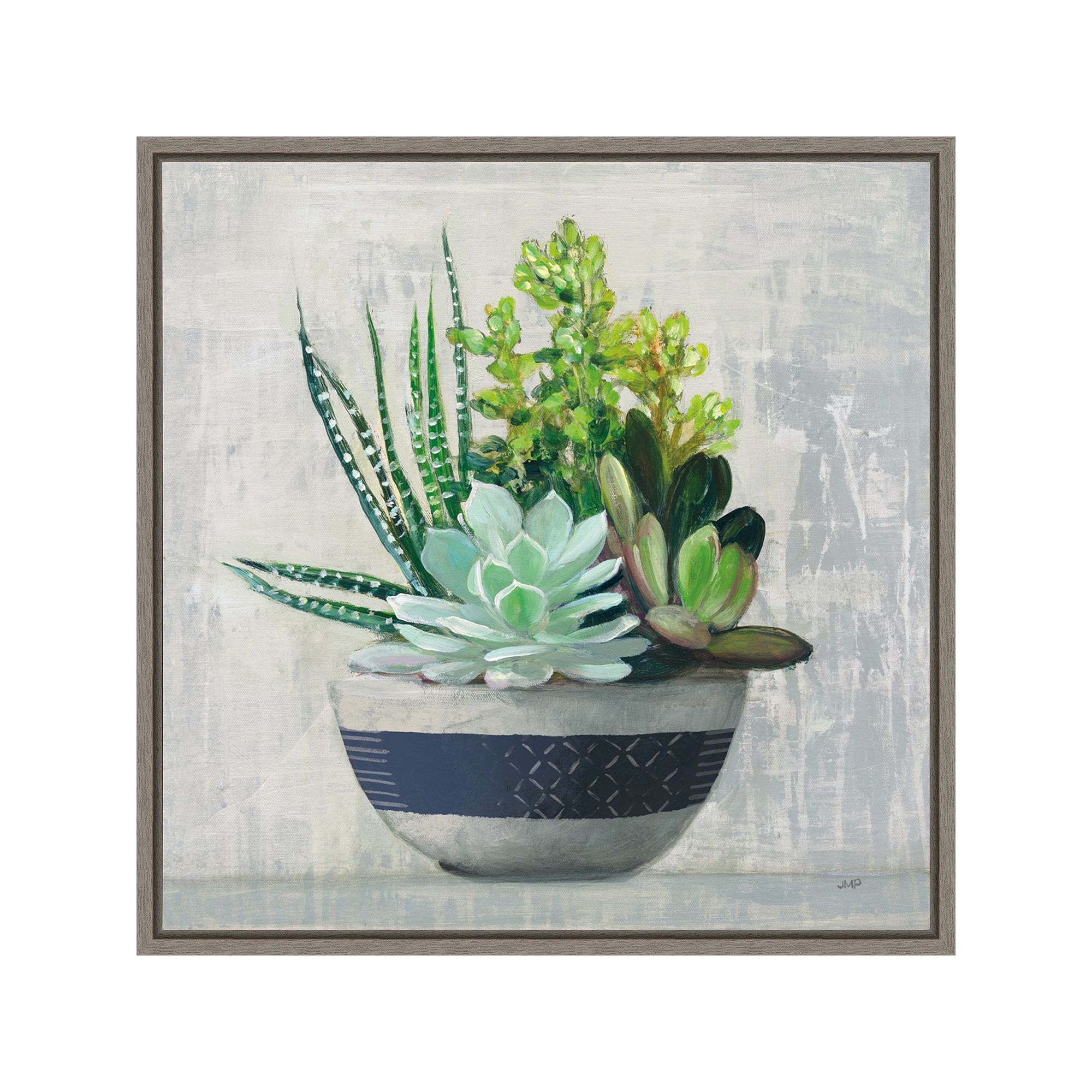 Amanti Art Succulent Still Life II Framed Canvas Wall Art, Gray