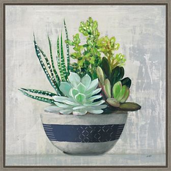 Amanti Art Succulent Still Life II Framed Canvas Wall Art