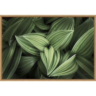 Amanti Art Corn Lily Green Leaves II Framed Canvas Wall Art