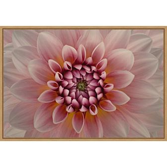 Amanti Art Pink Dahlia Framed Canvas Wall Art