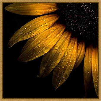 Amanti Art Sunflower Close Up Framed Canvas Wall Art
