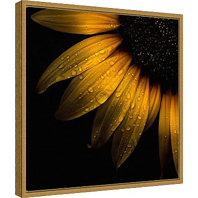 Amanti Art Sunflower Close Up Framed Canvas Wall Art