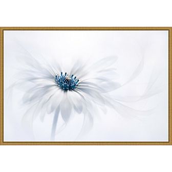 Amanti Art Serene White Flower Framed Canvas Wall Art