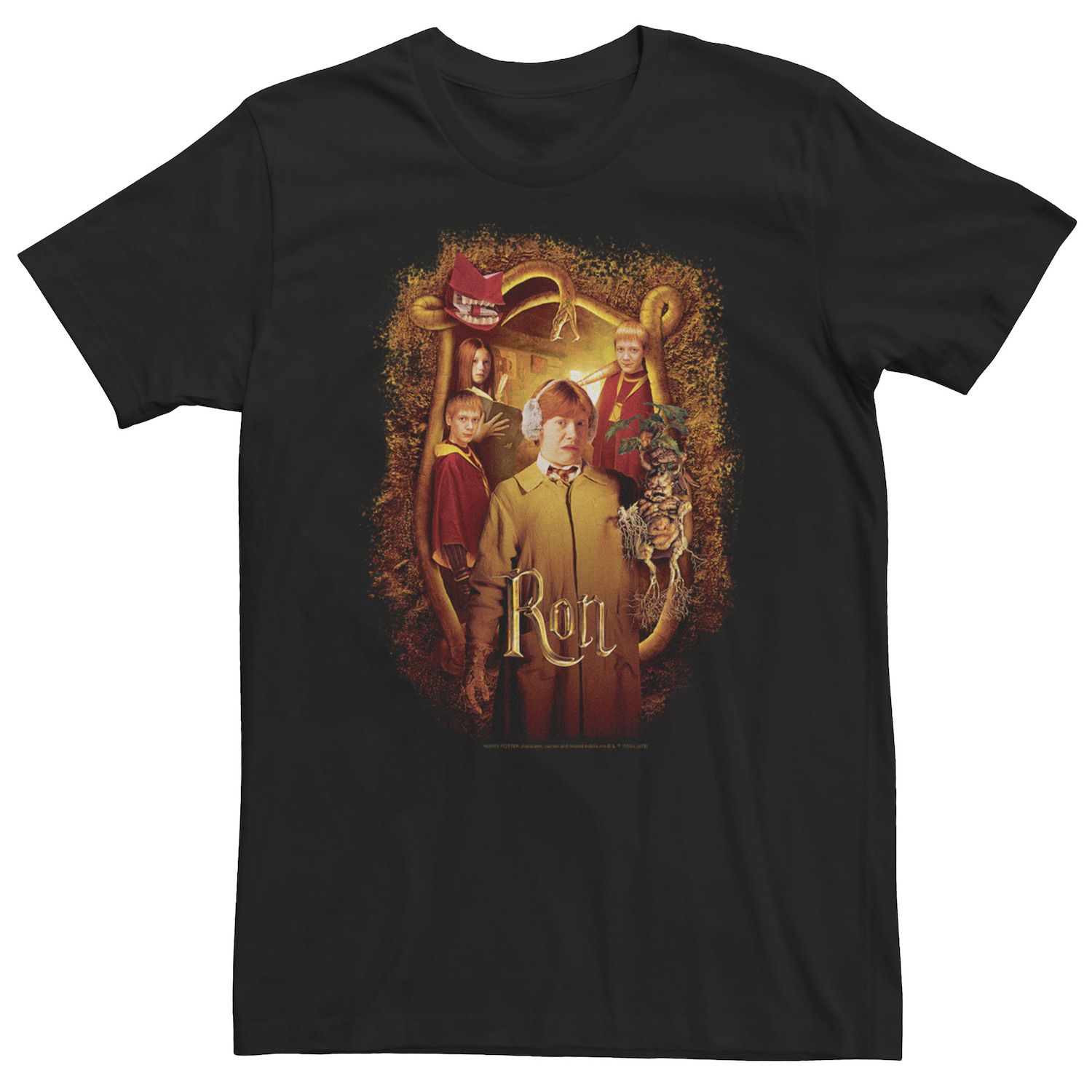 Image for Harry Potter Big & Tall And The Chamber Of Secrets Ron Portrait Tee at Kohl's.