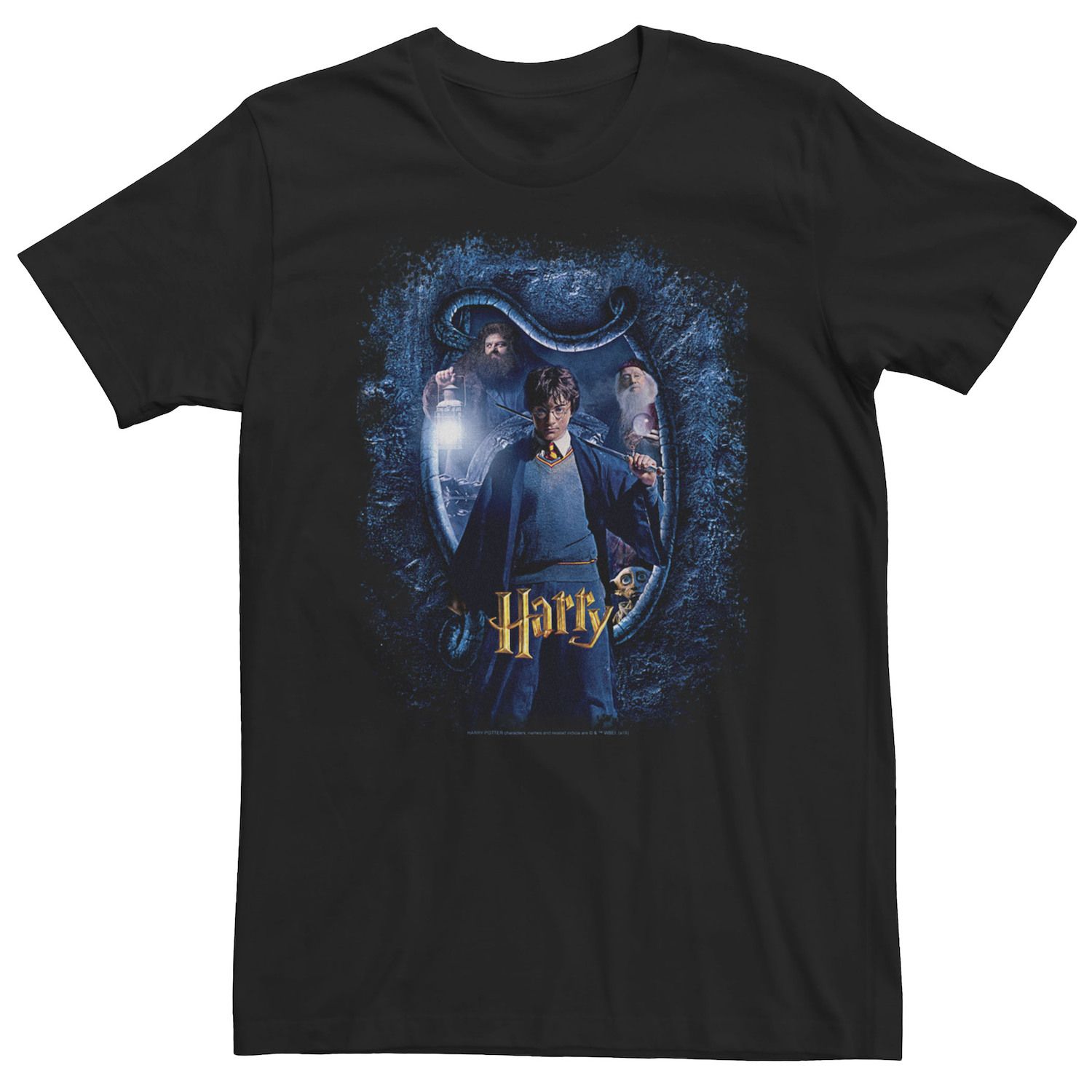 Image for Harry Potter Big & Tall And The Chamber Of Secrets Harry Portrait Tee at Kohl's.