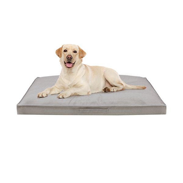 Kohls shop dog bed