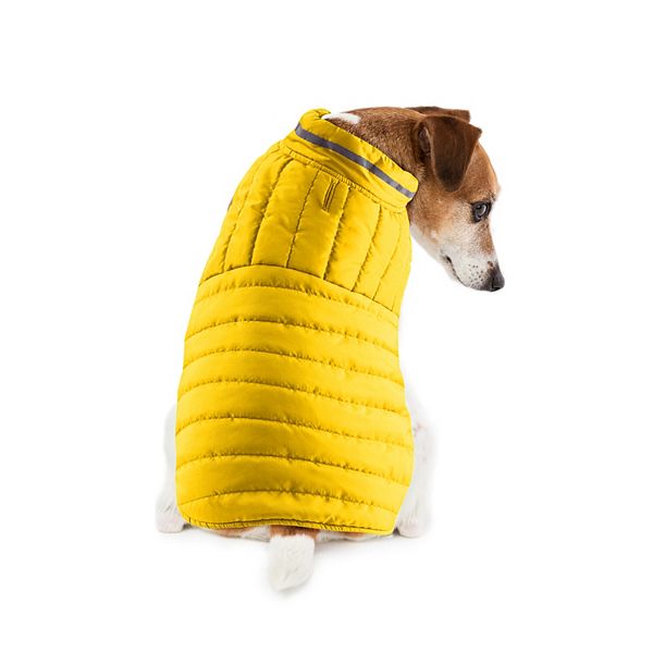 Sonoma Goods For Life® Pet Puffer Jacket