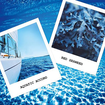 Maison Margiela REPLICA' Sailing Day Eau de Toilette with Aquatic