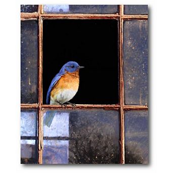 COURTSIDE MARKET Bluebird Window Canvas Wall Art
