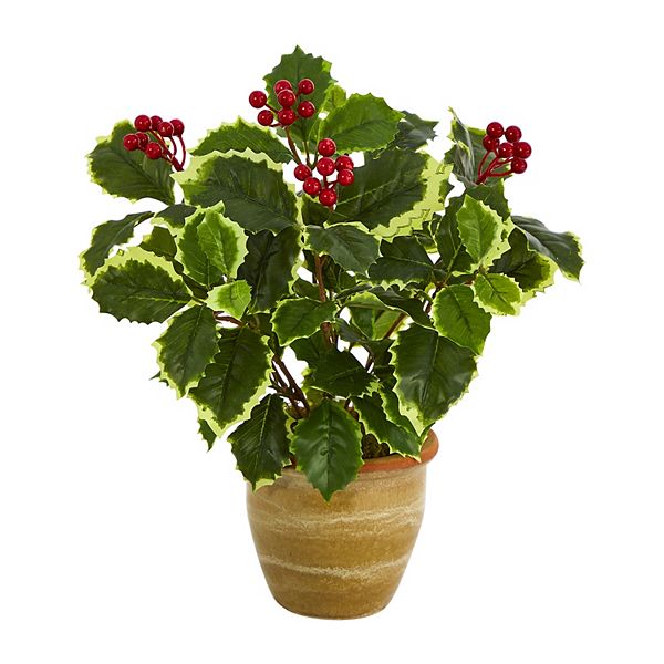 nearly natural 14in. Variegated Holly Leaf Artificial Plant in Ceramic