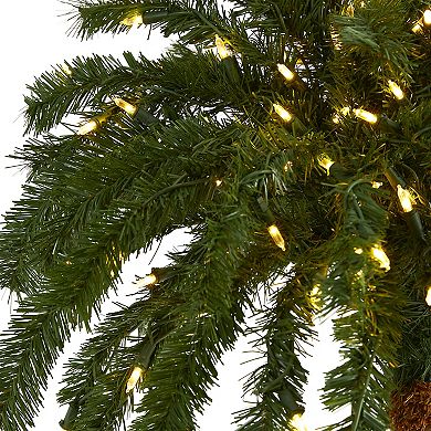 nearly natural 6-ft. Christmas Palm Pre-Lit Artificial Tree