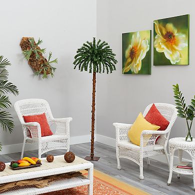 nearly natural 6-ft. Christmas Palm Pre-Lit Artificial Tree