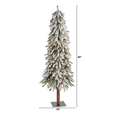 nearly natural 5-ft. Flocked Grand Alpine Artificial Christmas Tree