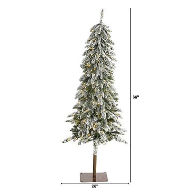 nearly natural 5.5-ft. Flocked Washington Alpine Christmas Artificial Tree