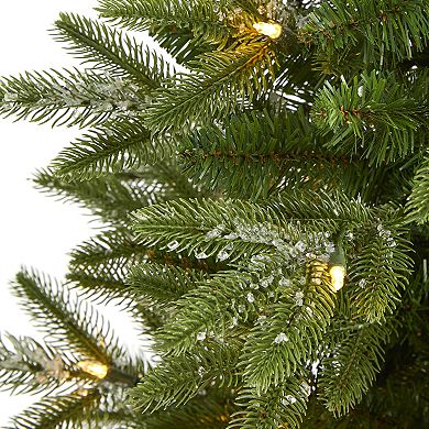 nearly natural 3-ft. Snowed Grand Teton Fir Artificial Christmas Tree