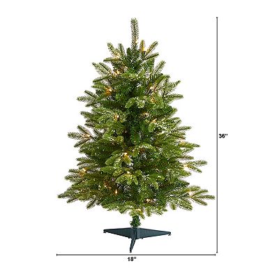 nearly natural 3-ft. Snowed Grand Teton Fir Artificial Christmas Tree
