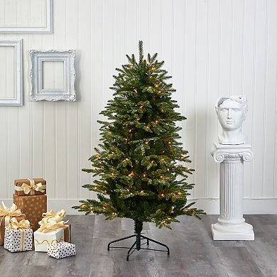 nearly natural 5-ft. Snowed Grand Teton Artificial Christmas Tree