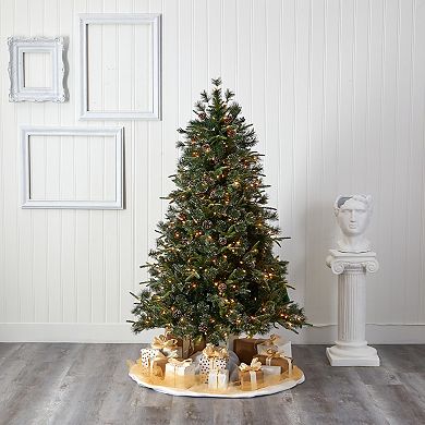 Snow Tipped Pine 36'' Lighted Artificial Pine Christmas Tree