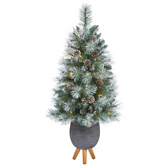nearly natural 3.5-ft. Frosted Tip British Columbia Mountain Pine Artificial Christmas Tree