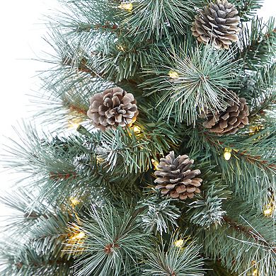 nearly natural 3.5-ft. Frosted Tip British Columbia Mountain Pine Artificial Christmas Tree