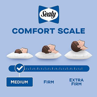Sealy Frost Cool Touch Pillow