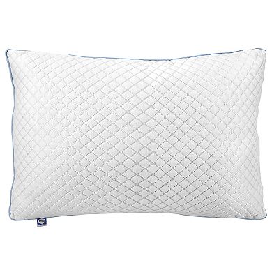 Sealy Frost Cool Touch Pillow