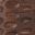 Warm Dark Brown