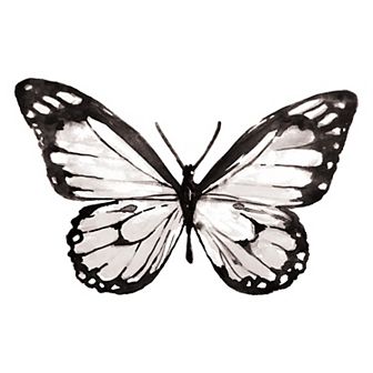 Roommates Watercolor Butterfly P&S Giant Decals